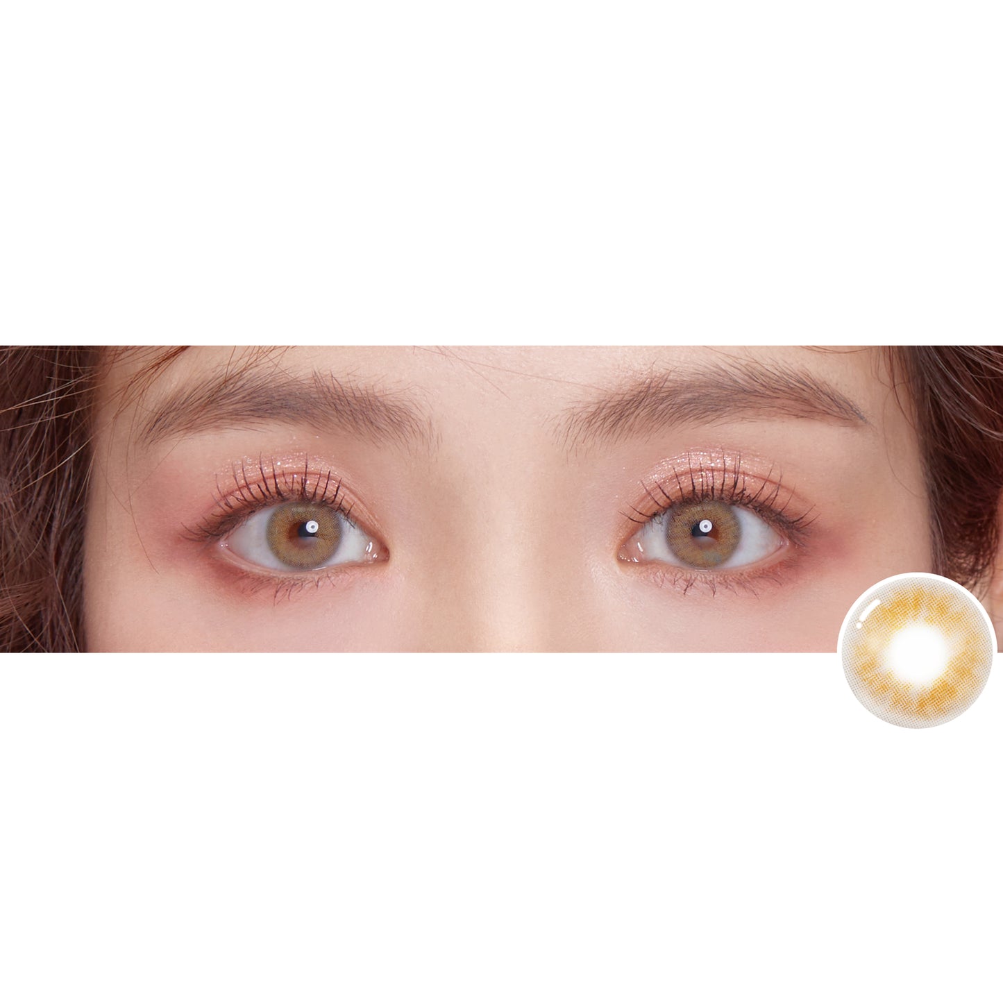 プティプチグレージュ PetitPechy GREIGE TORICOEYE カラコン- 2 week 【2枚入】
