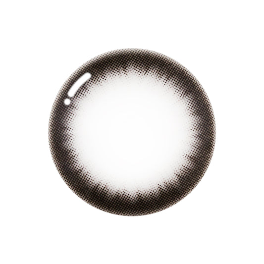 イルネージュアッシュiL Neige ASH TORICOEYE カラコン- 2 week 【2枚入】