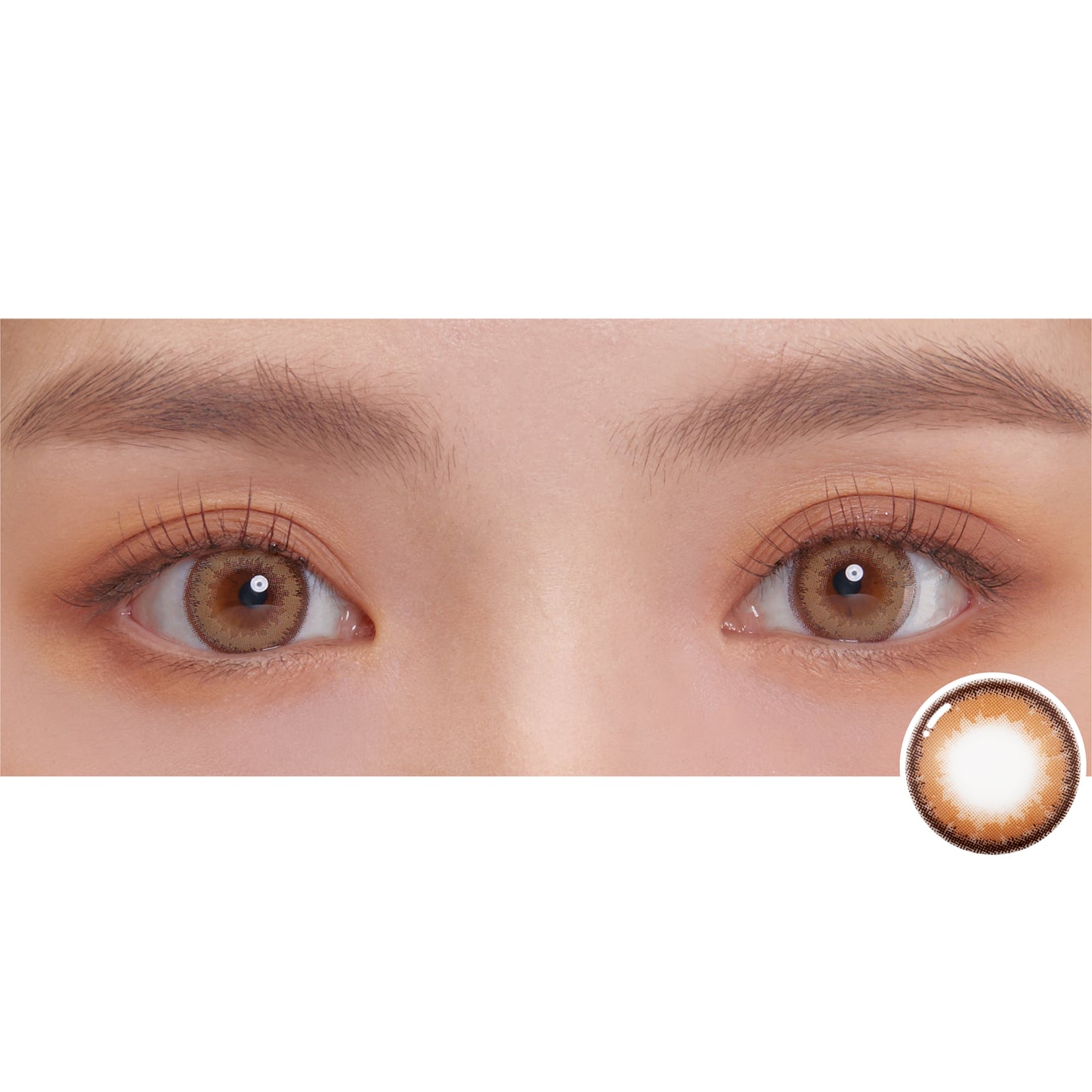 ラッシュイラテ  Rashui LATTE TORICOEYE カラコン- 1 Month 【1箱1枚入】