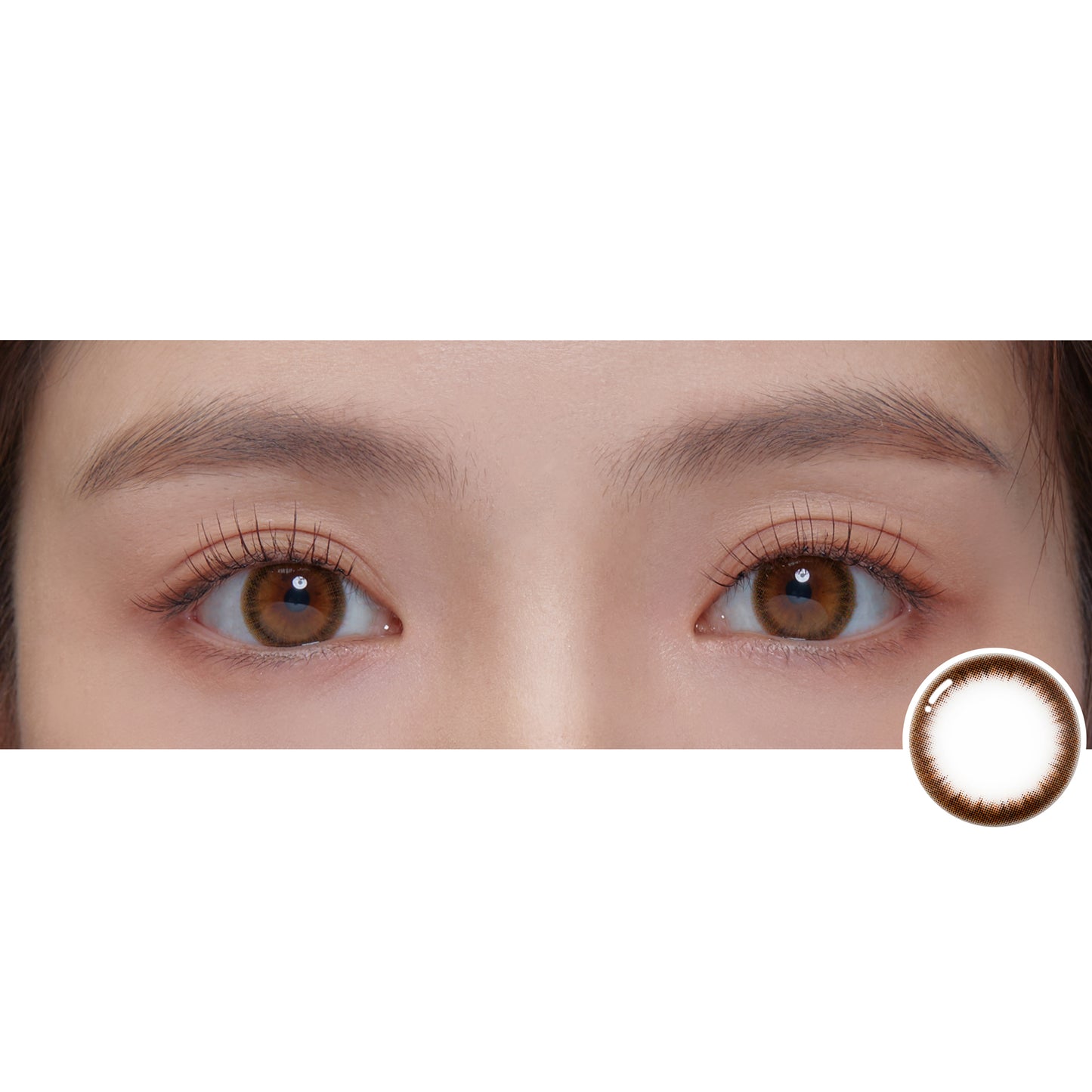 イルネージュオリーブ  iL Neige OLIVE TORICOEYE カラコン - 2 week 【2枚入】